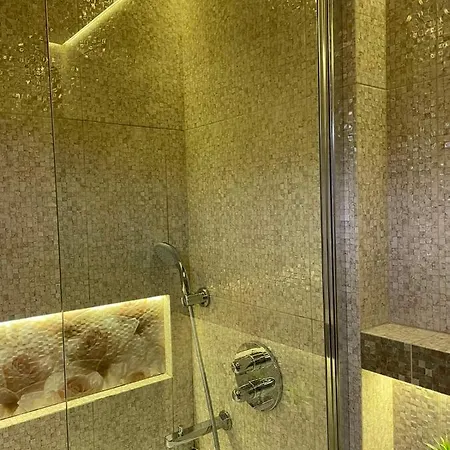 Vip Penthouse إلفيف